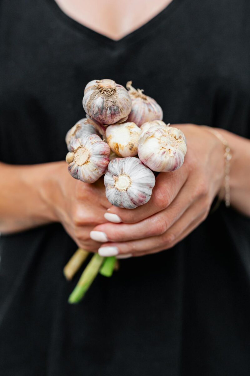 pexels karolina grabowska 4963607