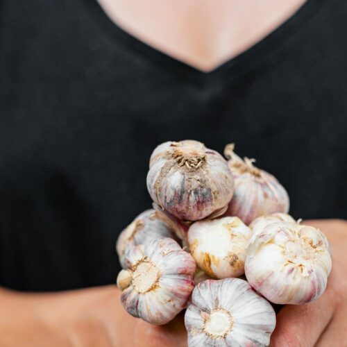 pexels karolina grabowska 4963607