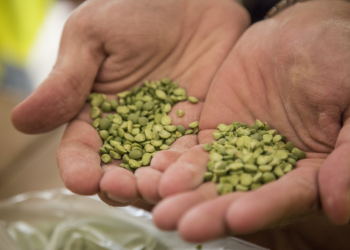 gemini generated image v14um5v14um5v14u